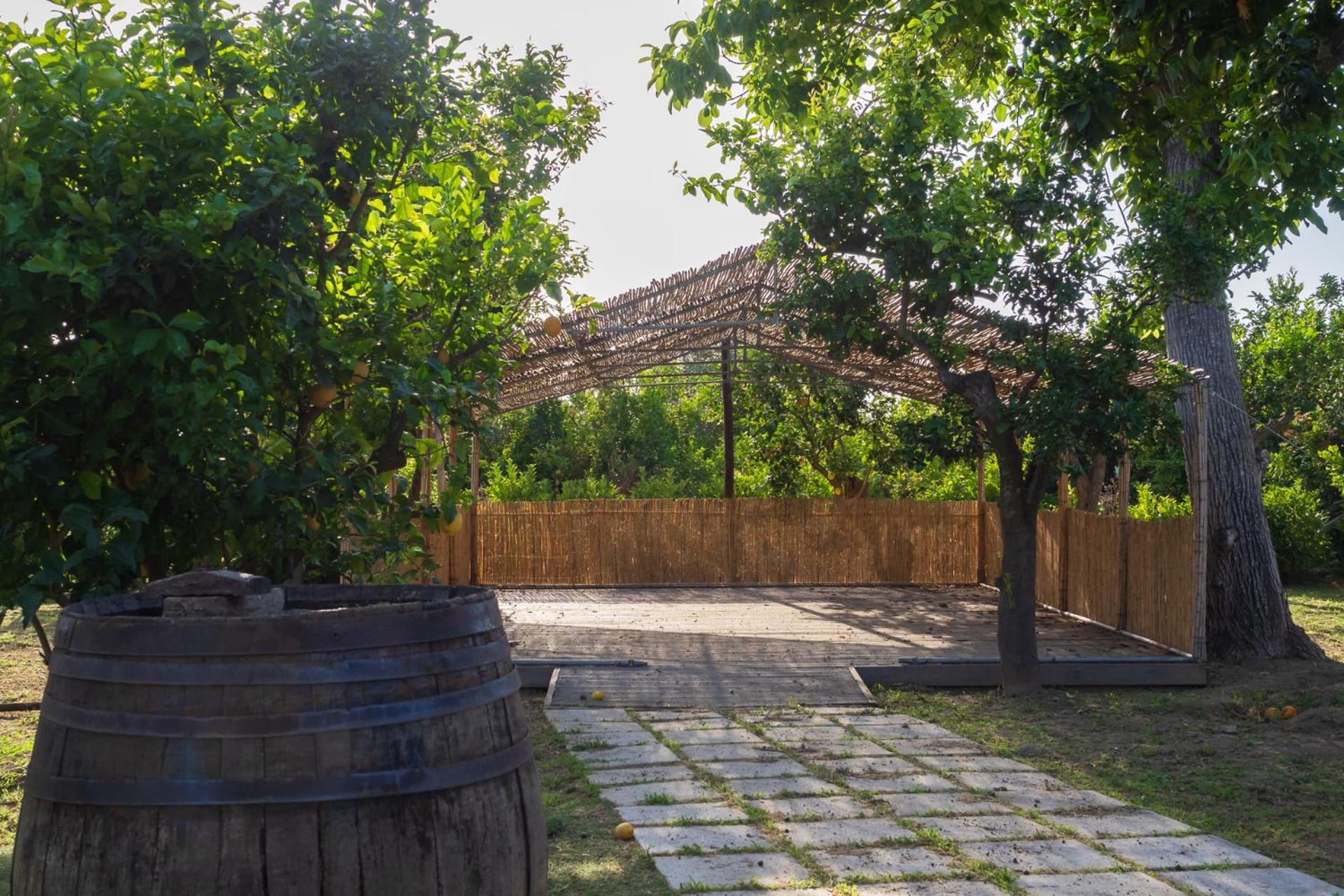 Giardino Di Nonno Lucio - Surrounded By Lemon Tree Villa Piano di Sorrento Exterior photo